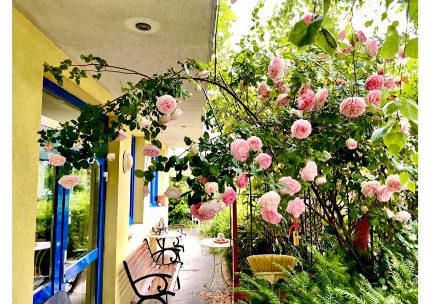 Gaestezimmer Puzwidu Vídeň Exteriér fotografie
